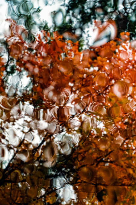 Automnale #2