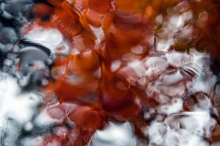 Automnale #3