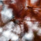 Automnale #5