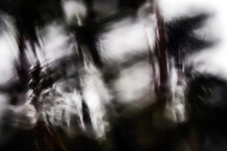 Automnale #7