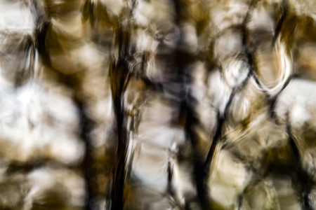 Automnale #10